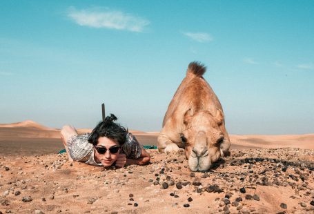 man-and-camel-lying-on-ground