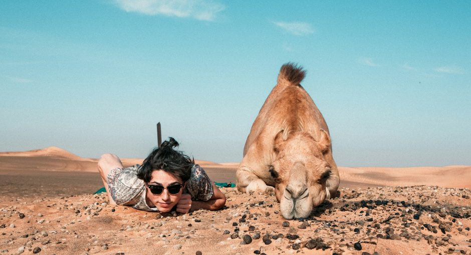 man-and-camel-lying-on-ground