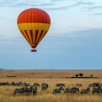 red-and-yellow-hot-air-balloon-over-field-with-zebras