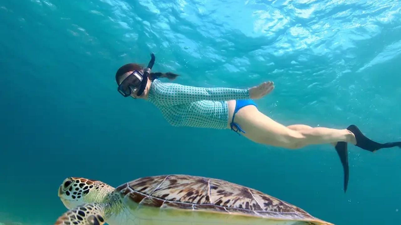 Best Months for Swimming and Snorkeling in Cape Verde
