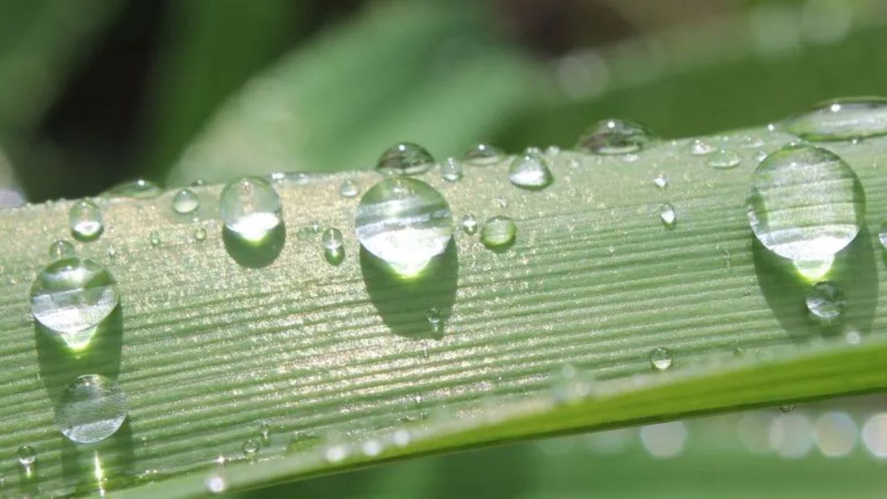 Does Cape Verde Have a Rainy Season What Tourists Should Know