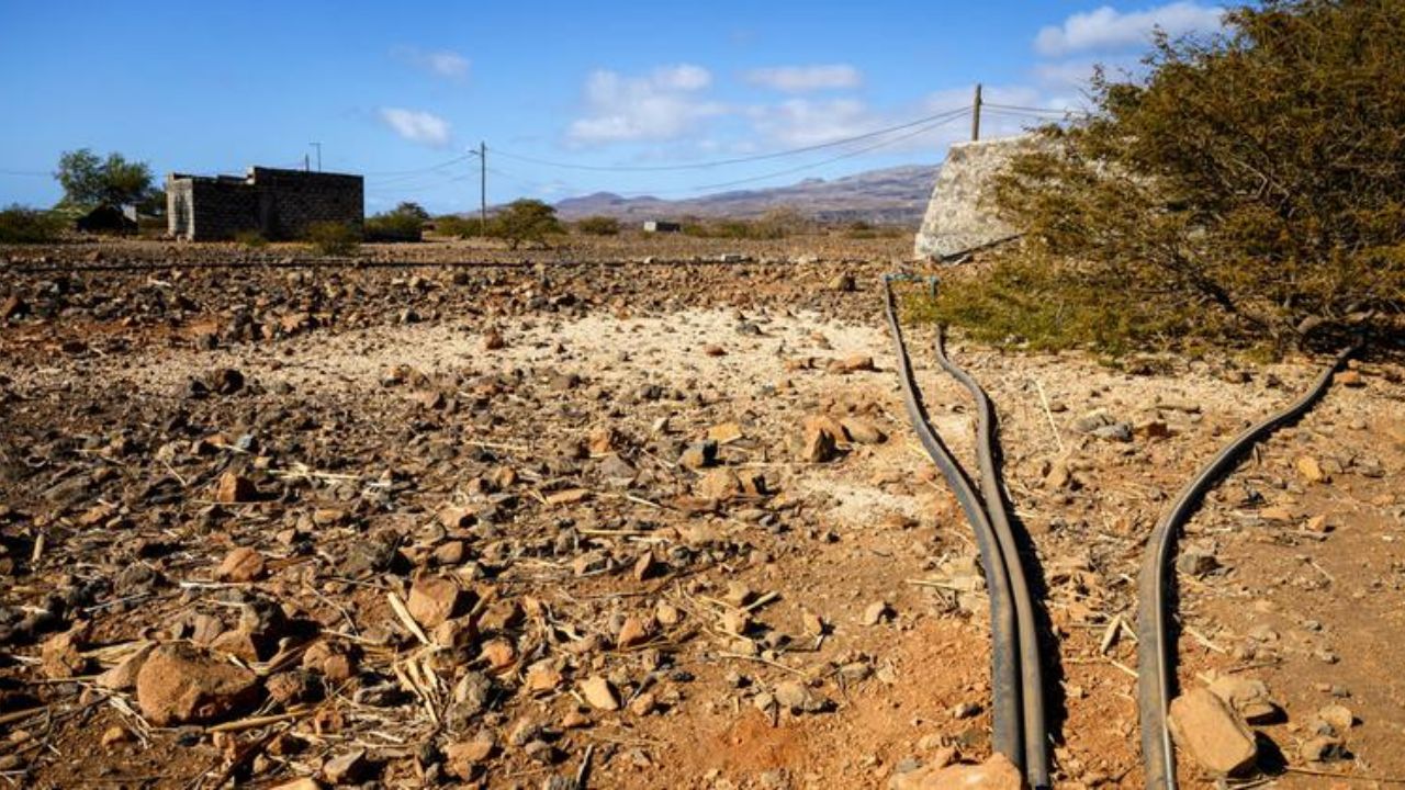 Famine, Drought, and Survival in Cape Verde’s Past