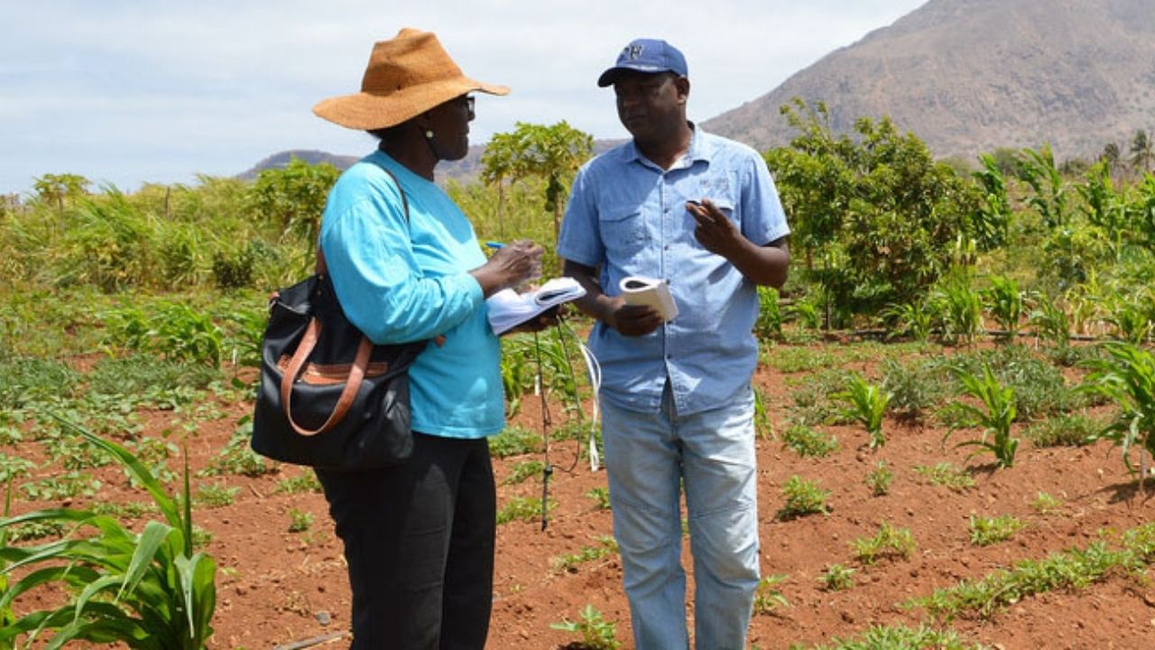 How Climate Change Is Affecting Cape Verde