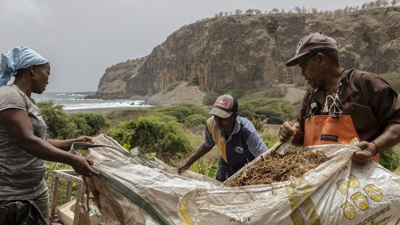 How Climate Change Is Affecting Cape Verde Islands